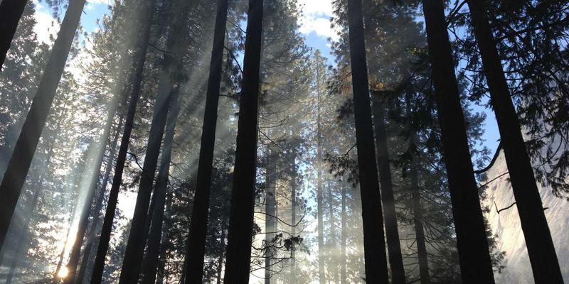 一碗拌粉里的英雄城:揭秘南昌拌粉制作技艺与城市生活密码