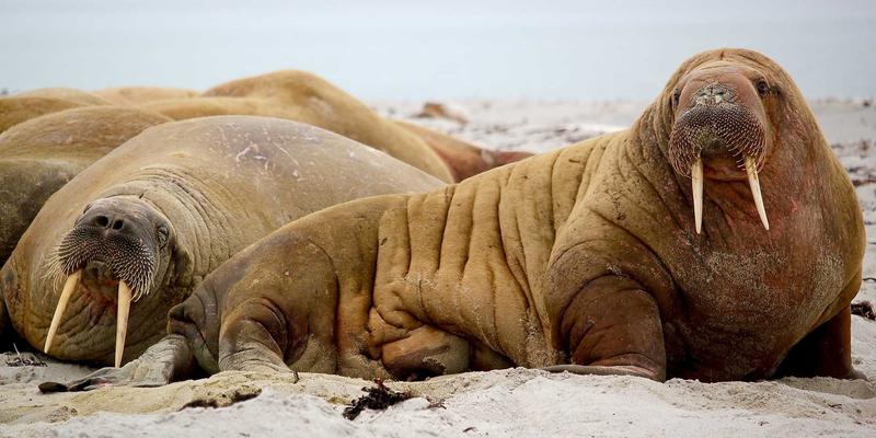 从VR之都到智慧新城：南昌VR产业如何重塑城市便民服务与社区生态