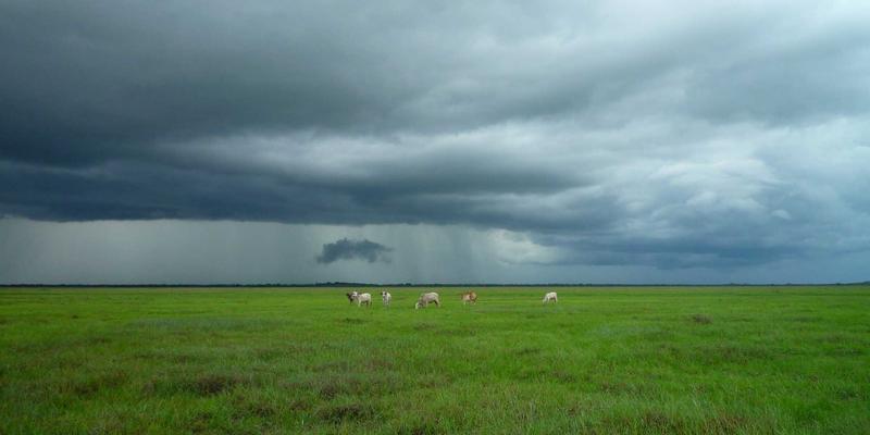 从南昌起义到现代生活:一座英雄城的红色记忆与便民指南